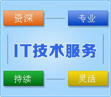 IT技术服务(软件、网站、APP等开发)